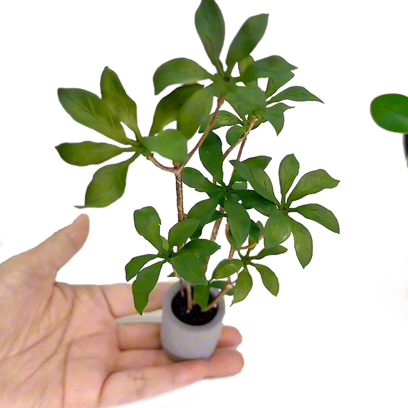 Bonsai Garden Kit - 1:6 Dollhouse minyatür saksı bitkileri modeli