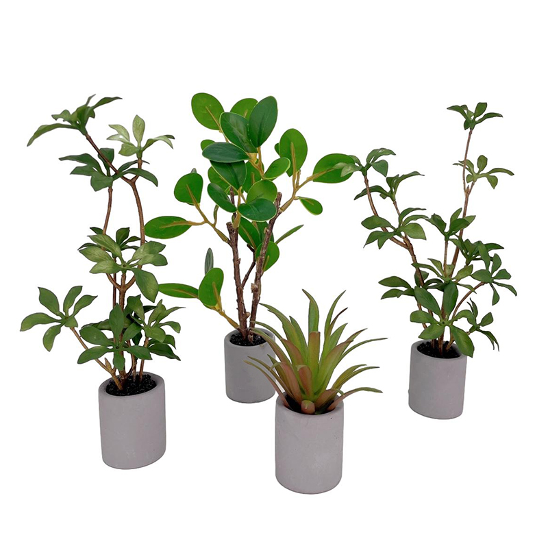 1:6 Dollhouse minyatür saksı b - Bonsai Garden Kit incelemesi ve fiyatı