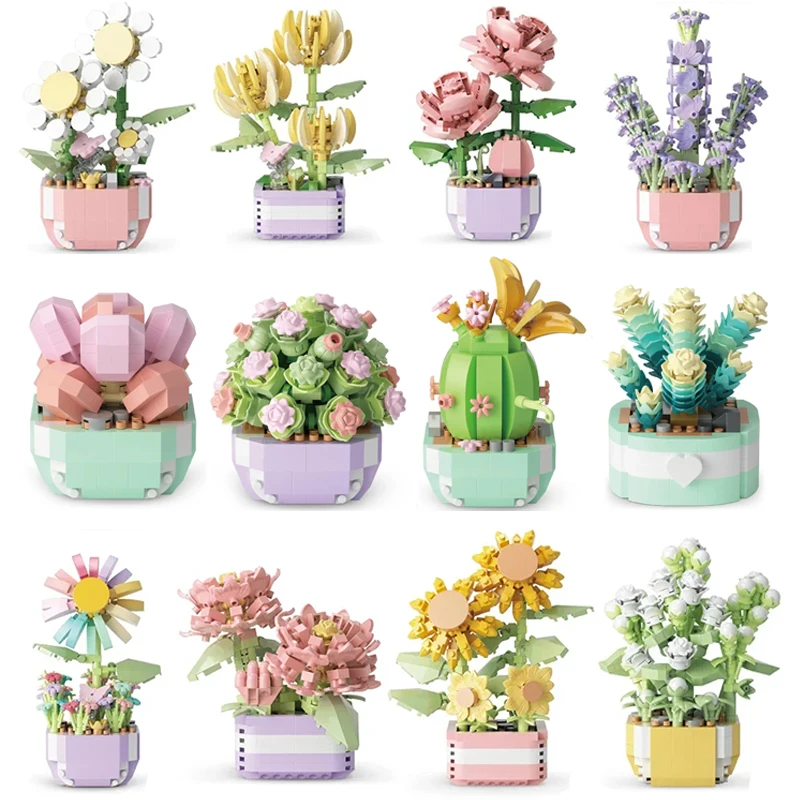 Çiçek Succulents yapı taşları  - Bonsai Garden Kit incelemesi ve fiyatı