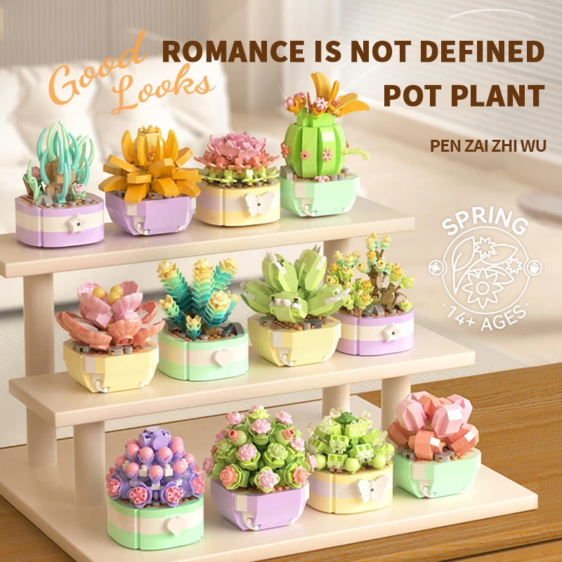 Çiçek Succulents yapı taşları  - Bonsai Garden Kit incelemesi ve fiyatı