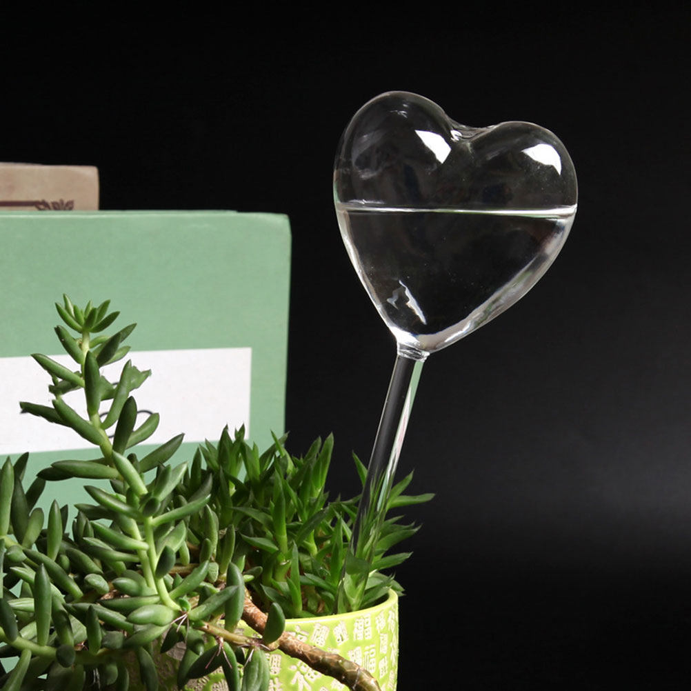 3 adet kalp şeklinde cam kendi - Bonsai Garden Kit incelemesi ve fiyatı