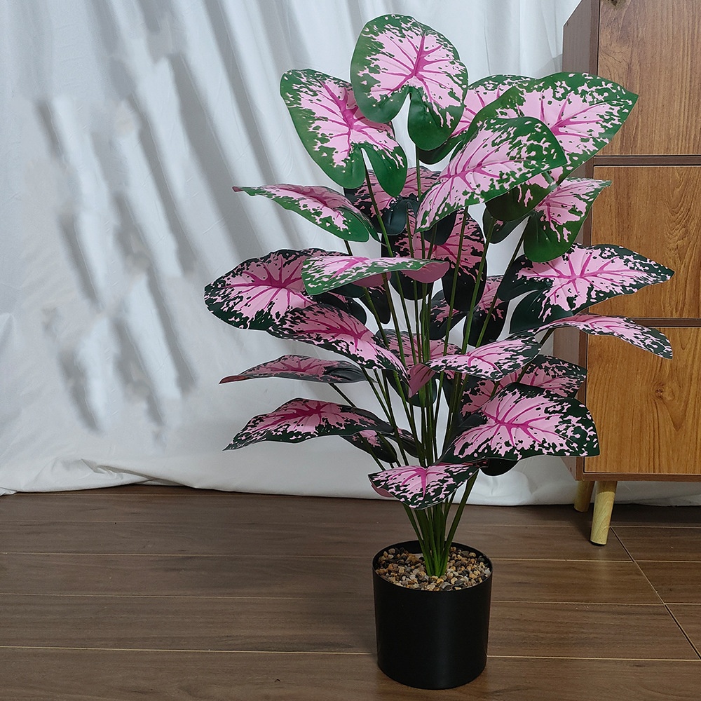 Pembe Yaprak Saksı Bitkileri S - Bonsai Garden Kit incelemesi ve fiyatı
