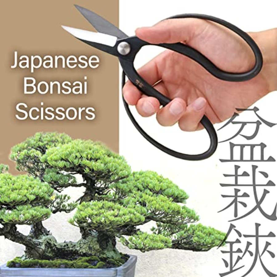 Japon Suiryu Bonsai Makası - G - Japan Bonsai Garden incelemesi ve fiyatı