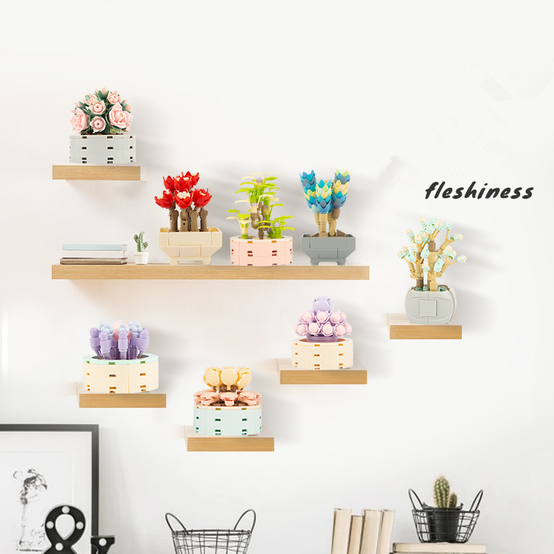 DIY MOC saksı bitkileri Cactus - Bonsai Garden Experts incelemesi ve fiyatı