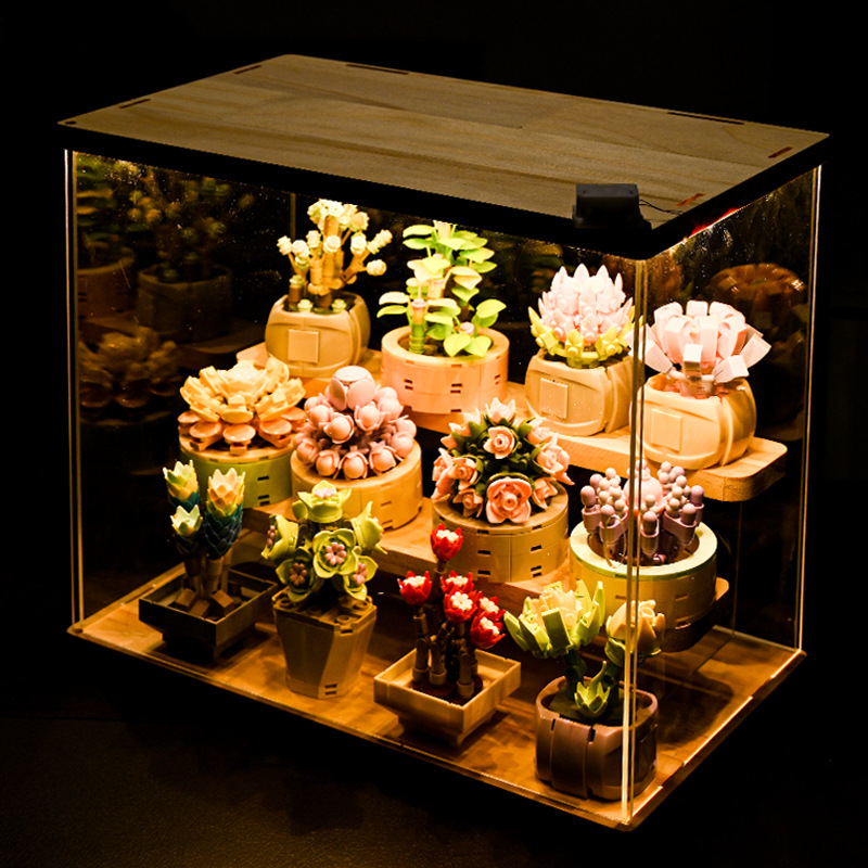 DIY MOC saksı bitkileri Cactus - Bonsai Garden Experts incelemesi ve fiyatı