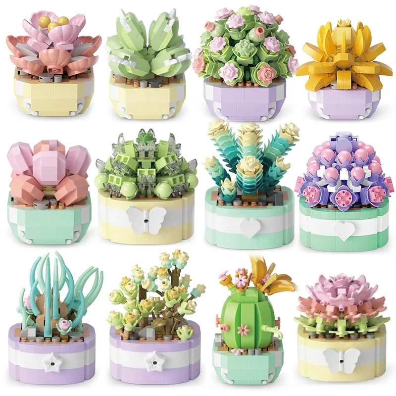 Çiçek Succulents yapı taşları  - Bonsai Garden Kit incelemesi ve fiyatı