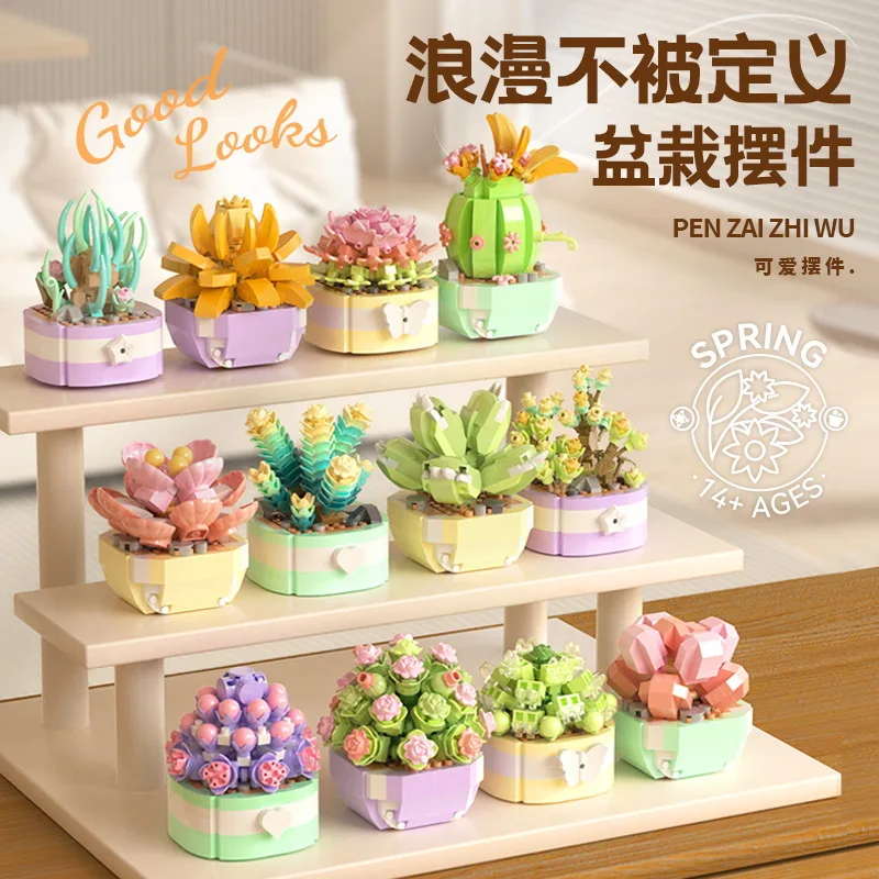 Çiçek Succulents yapı taşları  - Bonsai Garden Kit incelemesi ve fiyatı