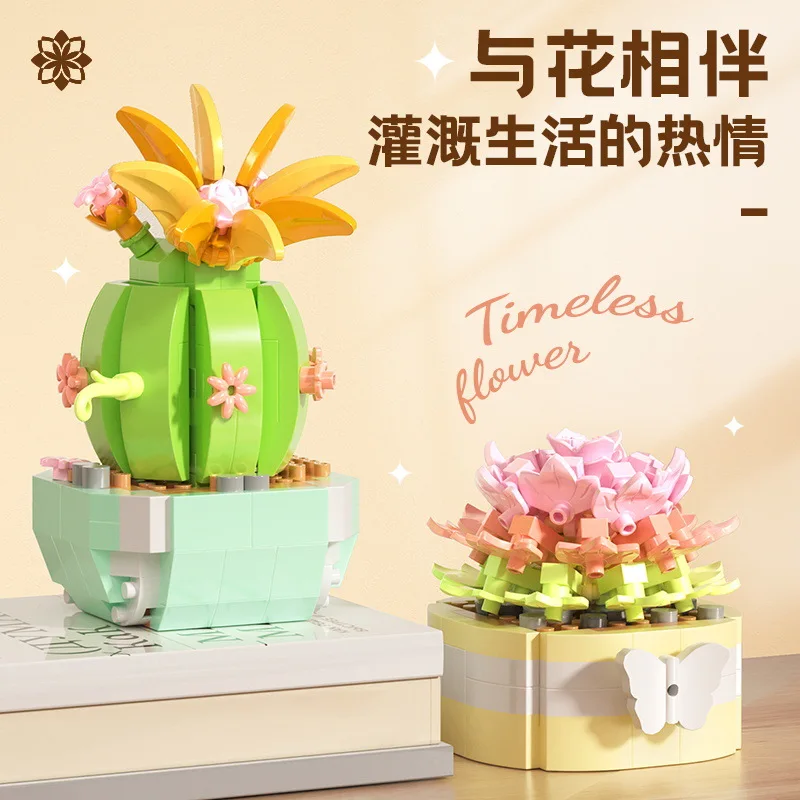 Çiçek Succulents yapı taşları  - Bonsai Garden Kit incelemesi ve fiyatı