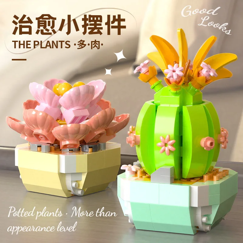 Çiçek Succulents yapı taşları  - Bonsai Garden Kit incelemesi ve fiyatı
