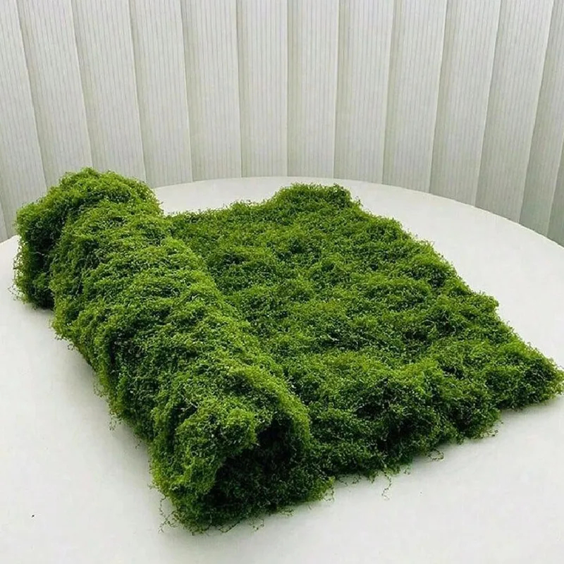 Mikro peyzaj dekorasyonu, çim  - Bonsai Garden Kit incelemesi ve fiyatı