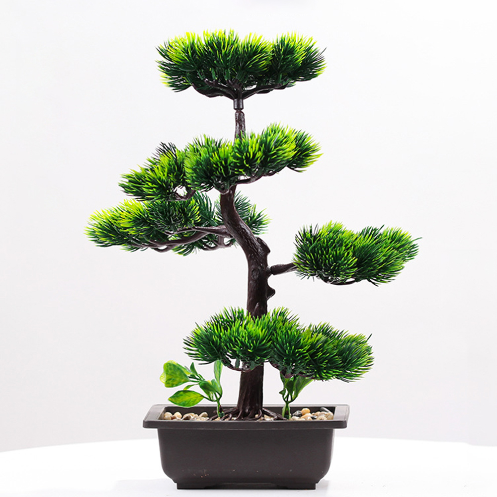 Yapay bitkiler güzellik çam sa - Bonsai Garden Kit incelemesi ve fiyatı