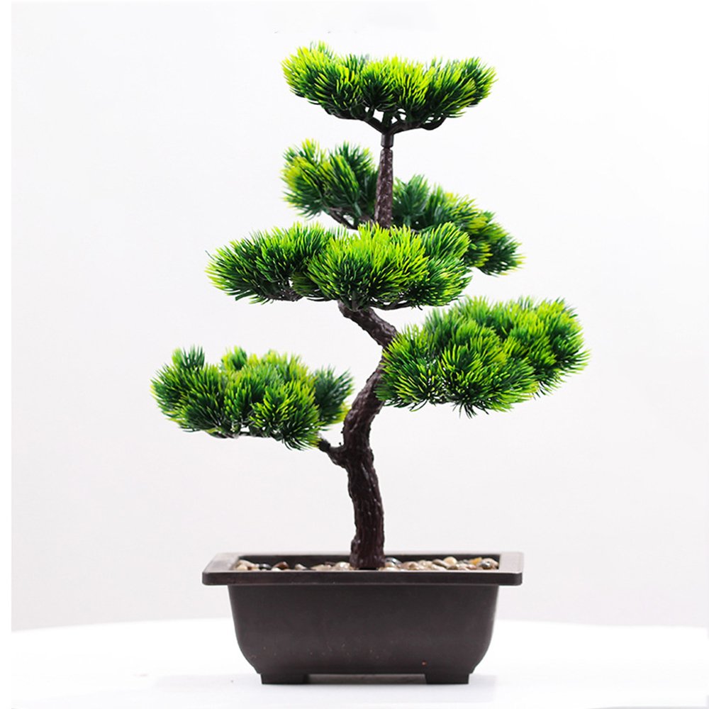 Yapay bitkiler güzellik çam sa - Bonsai Garden Kit incelemesi ve fiyatı