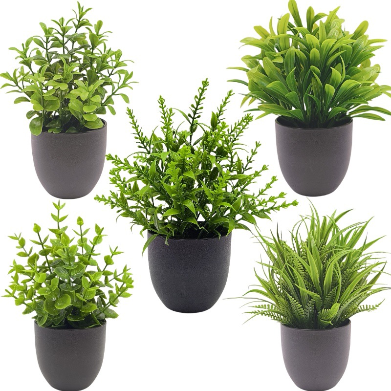 Simülasyon Yeşil Bitki Bonsai  - Bonsai Garden Kit incelemesi ve fiyatı