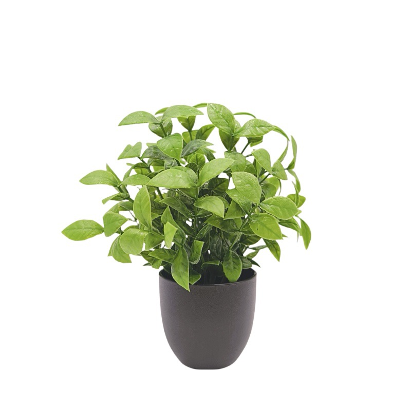 Simülasyon Yeşil Bitki Bonsai  - Bonsai Garden Kit incelemesi ve fiyatı